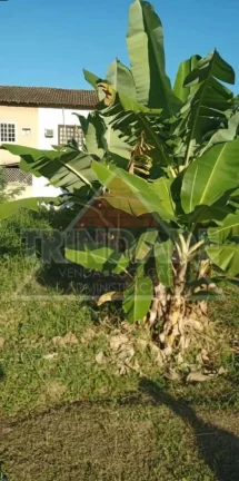 Imagem TERRENO RESIDENCIAL em RIO DE JANEIRO - RJ, VARGEM GRANDE