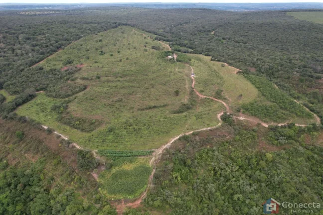 Imagem Fazenda em Centro, Presidente Olegário/MG