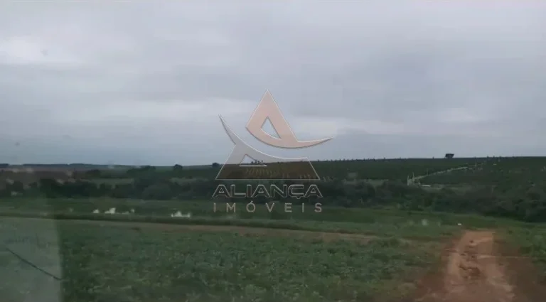 Imagem Fazenda - Casa Branca - Zona Rural
