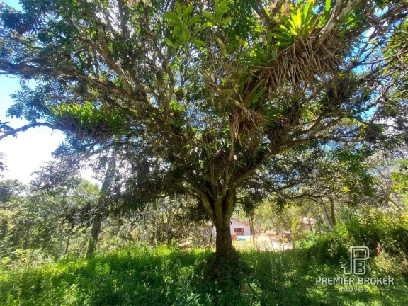 Imagem Terreno à venda, 5000 m² por R$ 650.000,00 - Prata dos Aredes - Teresópolis/RJ