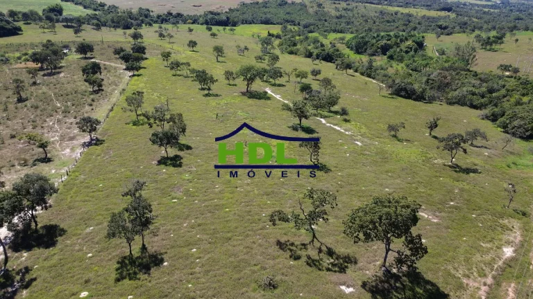Imagem Chácara com 30,87 Hectares beira asfalto 85 kms de Goiânia