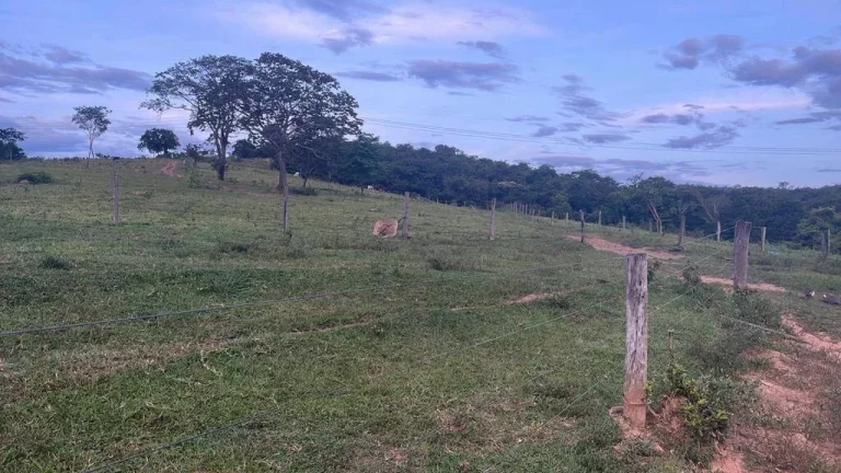 Imagem Fazenda à Venda – 117,3 Hectares em Luziânia-GO