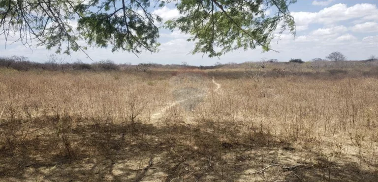Imagem Fazenda à Venda, 1.400.000 m² em Zona Rural - Jandaíra