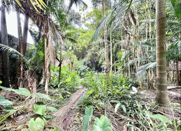 Imagem Terreno à venda, 1200 m² - Granja Viana - Cotia/SP