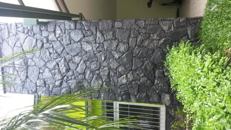 Imagem Casa no Santana