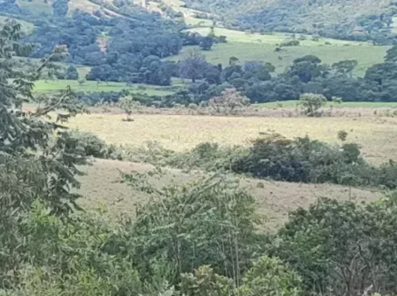 Imagem Fazenda 10 Alqueires à Venda em Luziânia, Goiás!