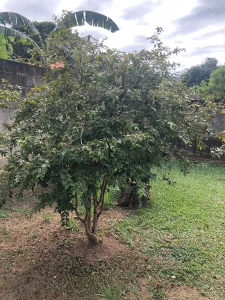 Imagem Chácara à venda em Campinas, Village Campinas, com 4 quartos, 140m2