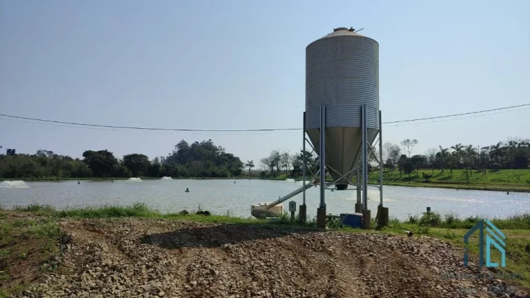 Imagem Sítio Produtivo de 5 alqueires, 7 tanques, em São Miguel do Iguaçu PR