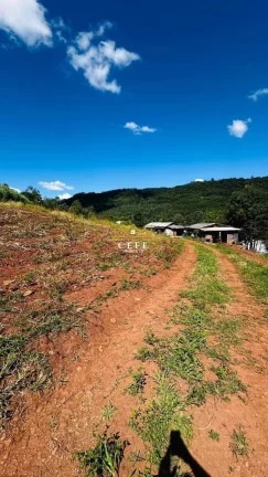 Imagem Chácara - Sítio com 3 Dormitorio(s) localizado(a) no bairro São Jacó em Nova Petrópolis / RIO GRANDE DO SUL Ref.:1559