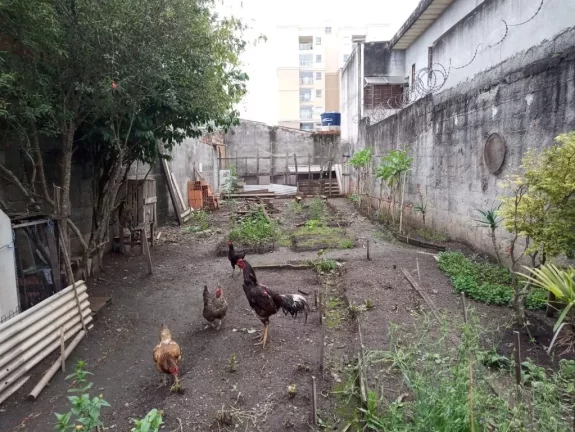 Imagem Terreno à venda, 135 m² por R$ 160.000,00 - Vila Urupês - Suzano/SP