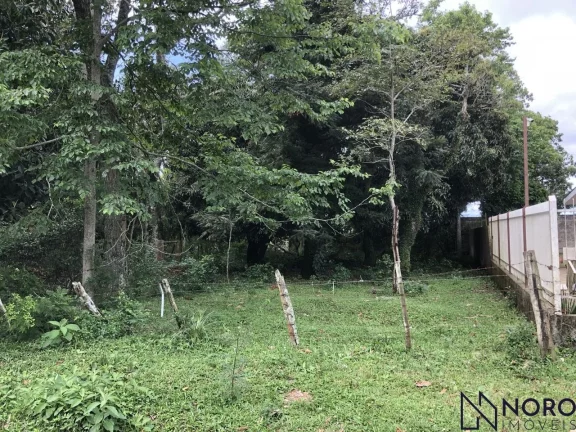 Terreno no Bairro Boi Morto