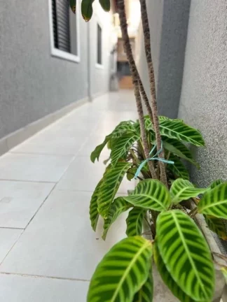 Imagem Casa à Venda em Vila Mar, Praia Grande - SP