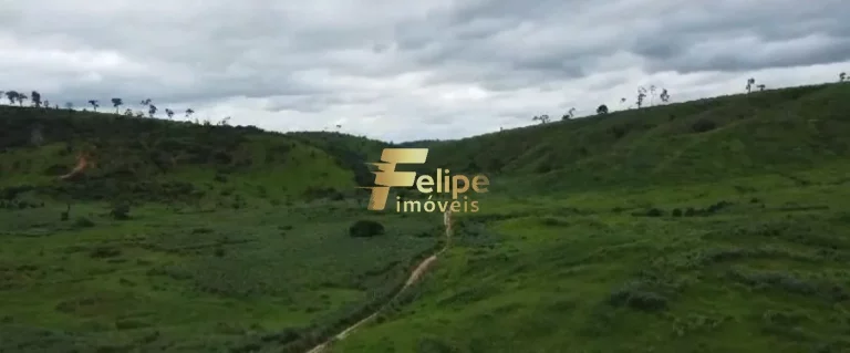 Imagem 110.000 POR ALQUEIRE - FAZENDA Á VENDA PROXIMA A VALADARES/MG!
