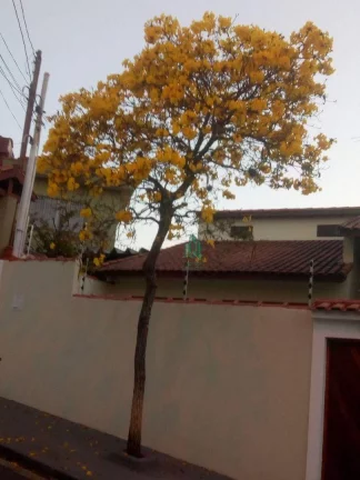 Imagem Casa à venda, 356 m² por R$ 1.900.000,00 - Vila Rosália - Guarulhos/SP