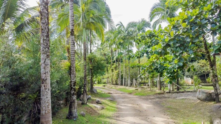 Imagem Chácara Rio Sagrado Morretes