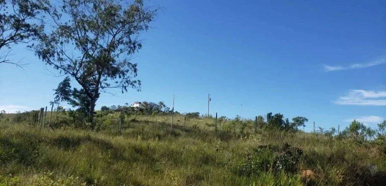 Imagem Lotes à Venda na Colônia Rodrigo Silva