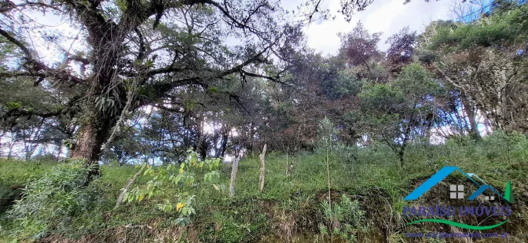 Imagem Terreno Exclusivo nas Alturas: Seu Refúgio de Sonho em Costas, Paraisópolis