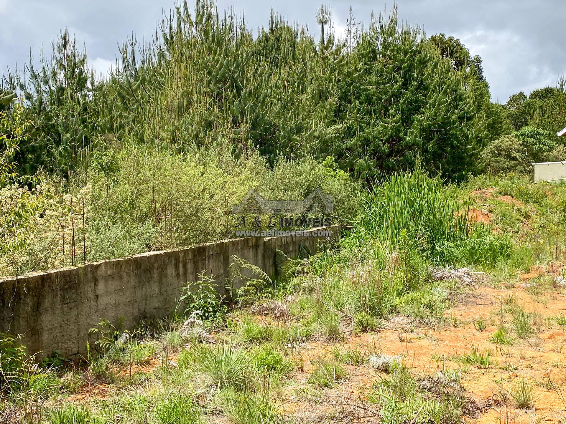 Imagem Terreno à venda em Campos do Jordão – Com uma bela vista e 2.055 m2