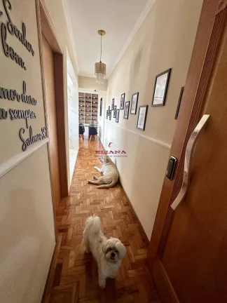 Imagem Apartamento em São Paulo, Perdizes, com 3 quartos, 110m²