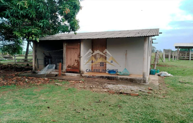 Imagem Chácara com 3 dormitórios à venda, 36000 m² por R$ 550.000,00 - Rio da Várzea - Cesário Lange/SP
