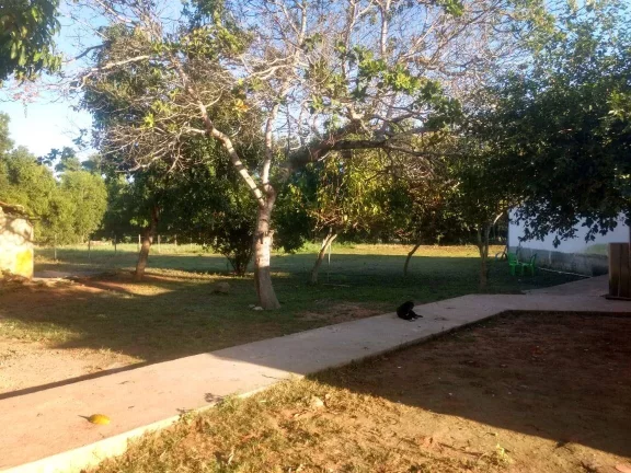 Imagem VENDE-SEE UM SITIO EM MACAÉ RJ. ATERRADO DO IMBURO.160.000M2