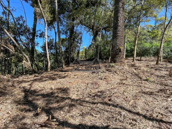 Imagem Terreno à venda em Campos do Jordão - Excelente opção para investimento
