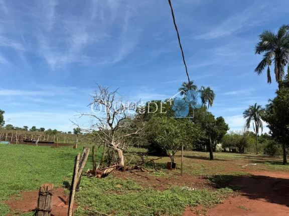 Imagem Fazenda à venda em Aparecida do Rio Doce-GO no bairro Setor Central com 10,00 alqueires de área
