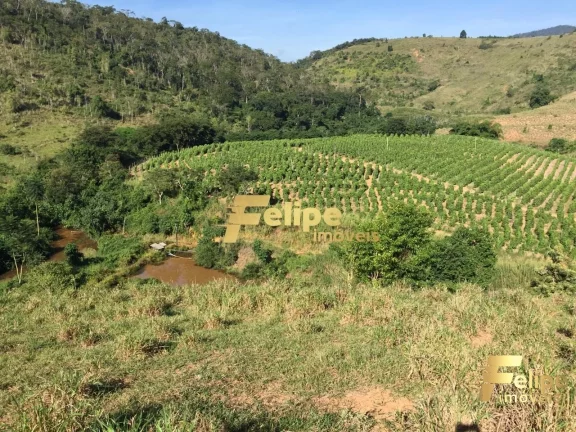 Imagem FAZENDA EM COLATINA (28KM DO CENTRO) / UM IMPERDÍVEL NEGÓCIO!