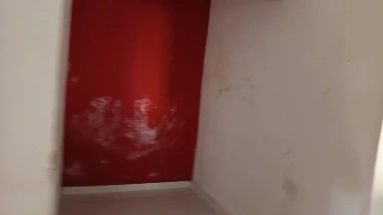 Imagem VENDO CASA COM QUINTAL NO BAIRRO CAMPO GRANDE!
