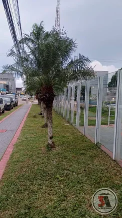 Imagem Salvador Dali - Apto. Semimobiliádo