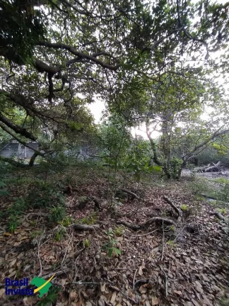 Imagem ÁREA EM ARRAIAL D'AJUDA