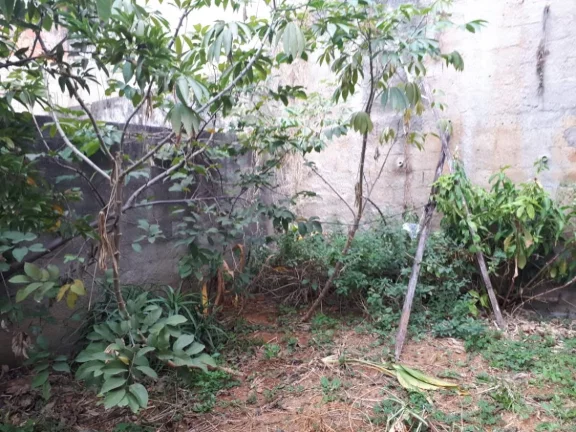 Imagem Terreno com salão em Perus