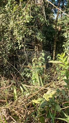 Imagem TE-25241 - TERRENO À VENDA EM JAMBEIRO / SP