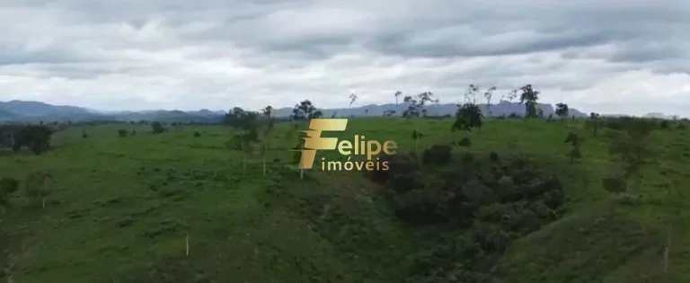 Imagem 110.000 POR ALQUEIRE - FAZENDA Á VENDA PROXIMA A VALADARES/MG!
