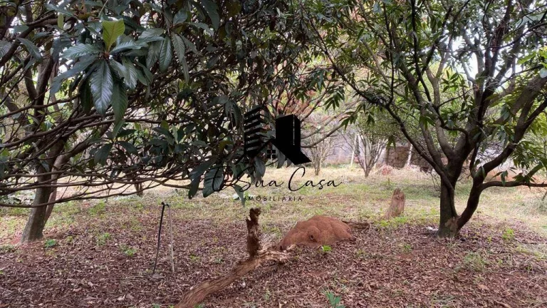Imagem Lote/Terreno à Venda Chácara Cotia (Cabral) Contagem MG