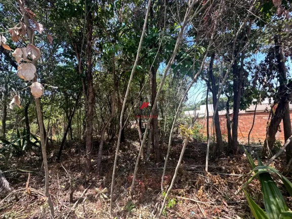 Imagem Lote - Bairro Campinho - Lagoa Santa
