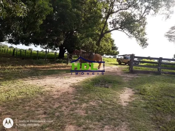 Imagem Fazenda 318 Alqs Barranca do Rio Araguaia em Araguaiana/MT