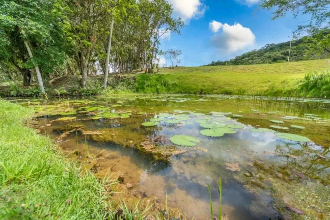 Imagem Terreno em Camboriú - Rio do Meio