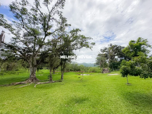 Imagem Sítio à venda em Camboriú-SC com 15.595m². Um verdadeiro paraíso com 6 lagoas, pomar e móveis rústicos.