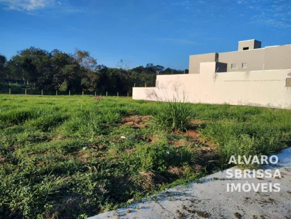 Imagem Terreno medindo 10 x 30 metros a venda no Parque São Domingos Pindamonhangaba SP