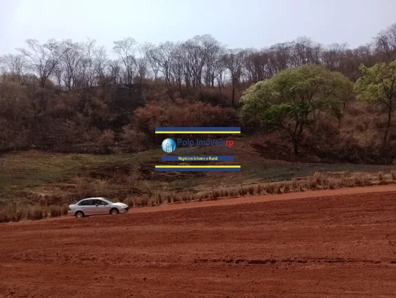 Imagem Fazenda 181 hectares montada para criação de bovinos até 220 cabeças e planta café, próximo de Altinópolis - São Paulo.