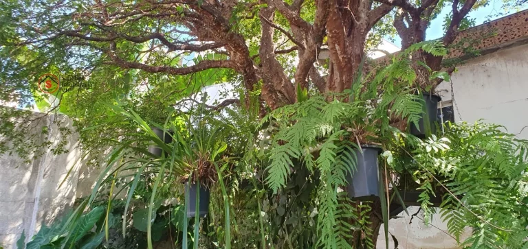 Imagem CASA ASSOBRADADA A VENDA NA VILA PRUDENTE, A 800 METRO DO METRÔ. 3 DORMITÓRIOS E EDÍCULA.
