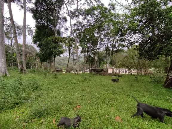 Imagem CHÁCARA RESIDENCIAL À VENDA, ESTÂNCIA PIRATININGA/PALMEIRAS, SUZANO
