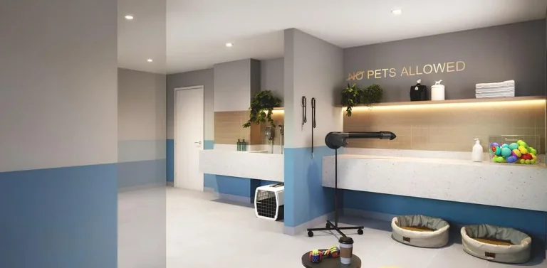 Imagem Arena Kazzas Itaquera 3