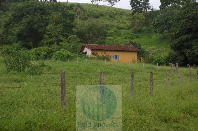 Imagem Fazenda em Cajuru 65,2254 alqueires com 35 alqueires em cana - a 78 km de Ribeirão Preto - SP sentido Casa Branca