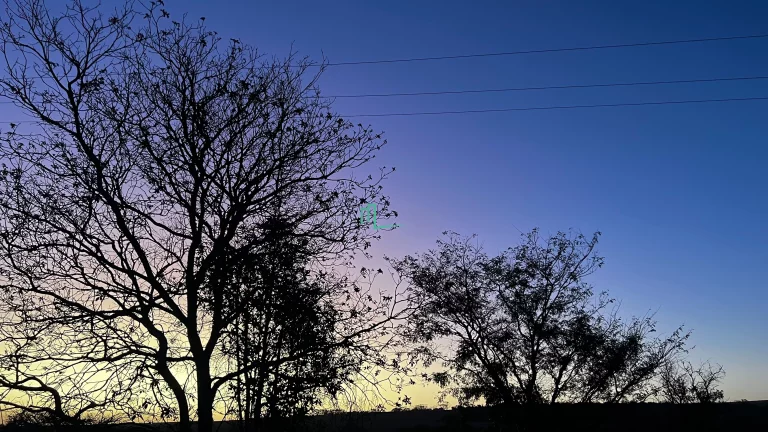 Imagem PROPRIEDADE RURAL DE ALTO PADRÃO COM EXCELENTE LOCALIZAÇÃO