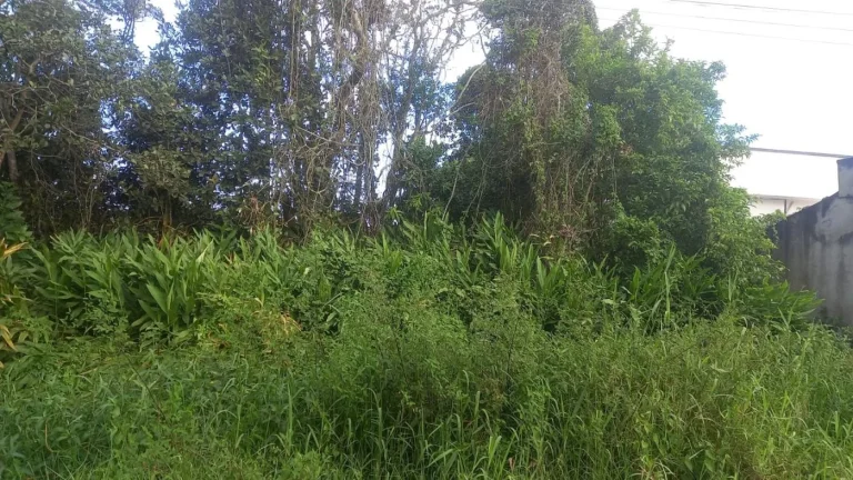 Imagem Terreno para Venda em Itanhaém, Jardim Luiza Mar Mirim