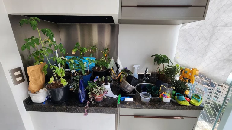 Imagem Apartamento Moderno e Versátil na Encruzilhada -3 dormitorios, sendo uma suíte, Vista Livre e Lazer Completo