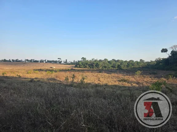 Imagem Terra de Patrão c/ 412 hectares à 27 km de Porto Velho