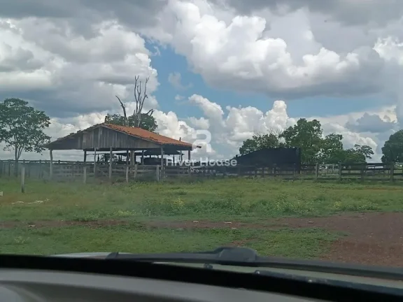 Imagem Fazenda a venda com 890 hectares Dupla aptidão na Região de Nossa senhora do Livramento Livramento MT
